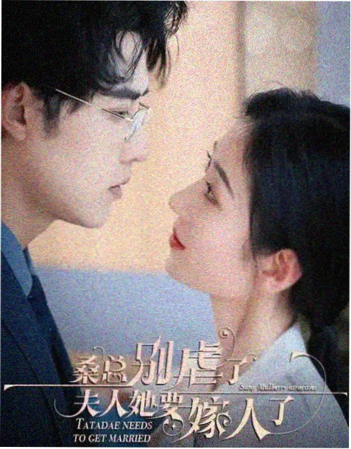 南来北往 策驰影院免费观影在线观看